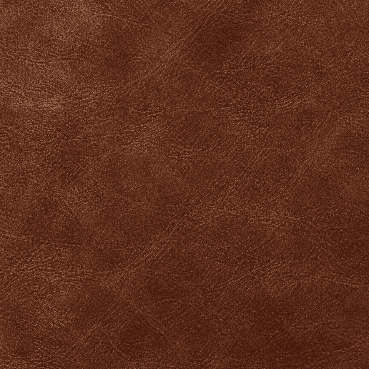 Full grain leather placeholder