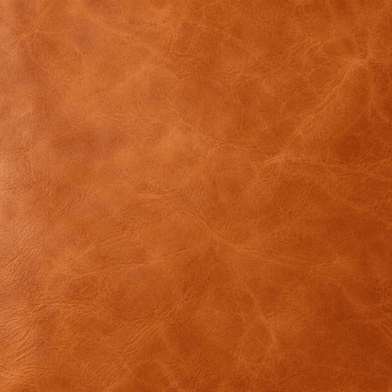 Vegetable tanned leather placeholder